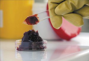 ¿La grasa roja es mejor?