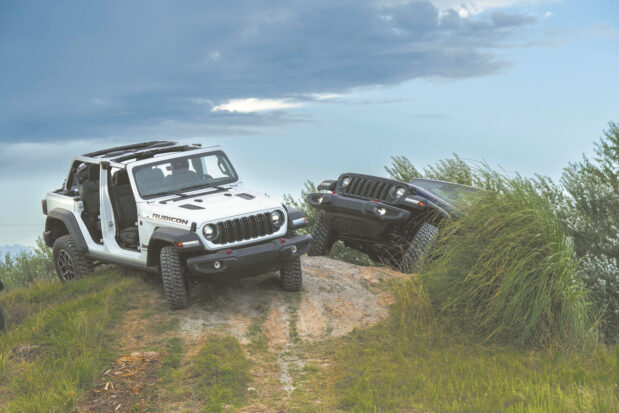 WRANGLER1